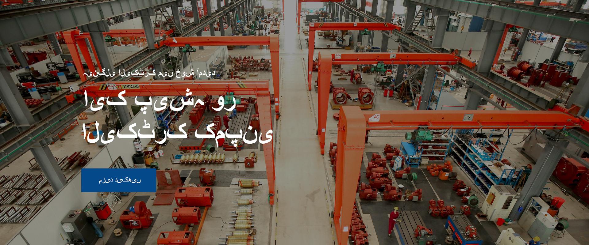 کمپنی پروفائل